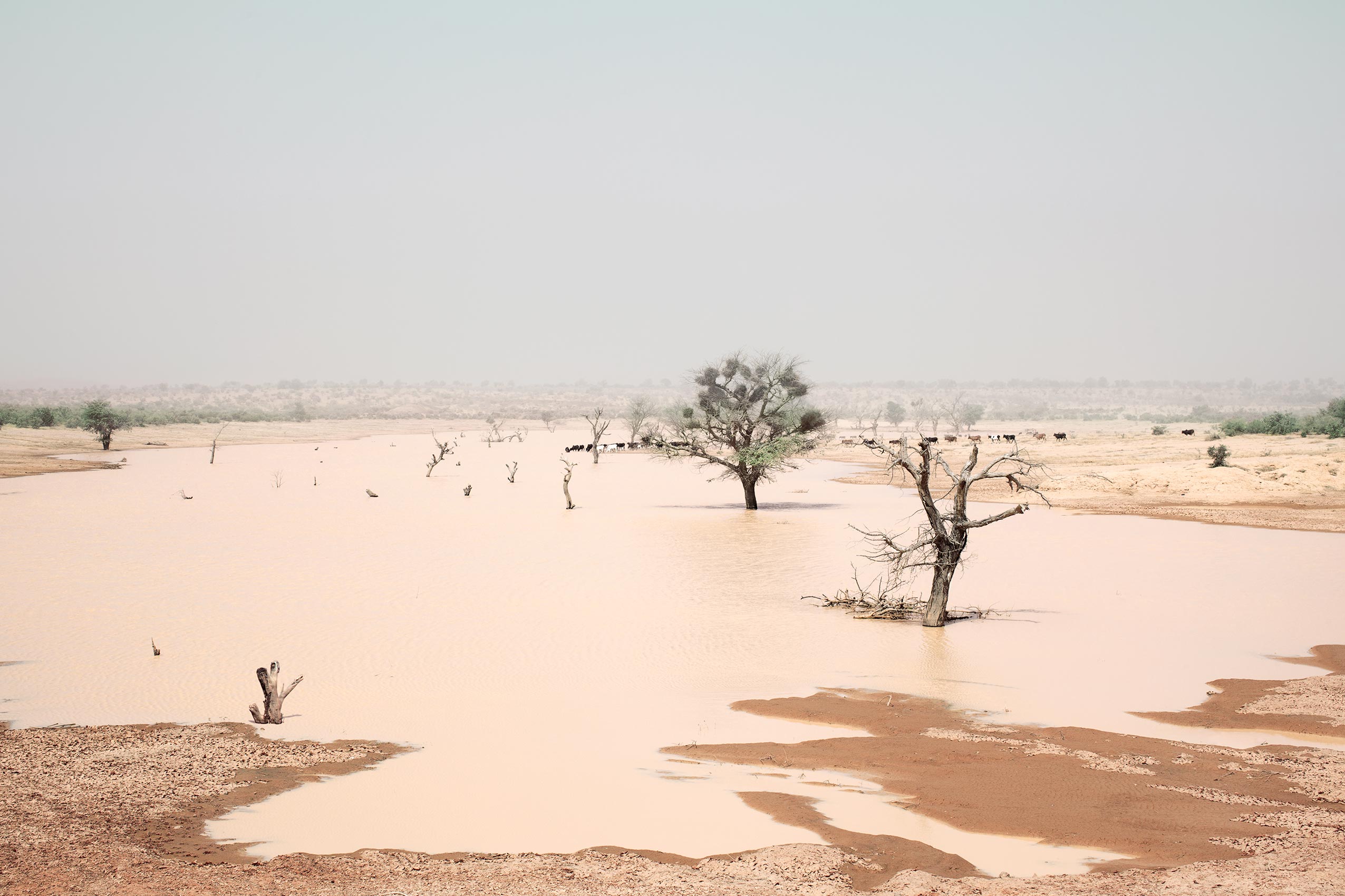 ChrisSisarich_Africa022