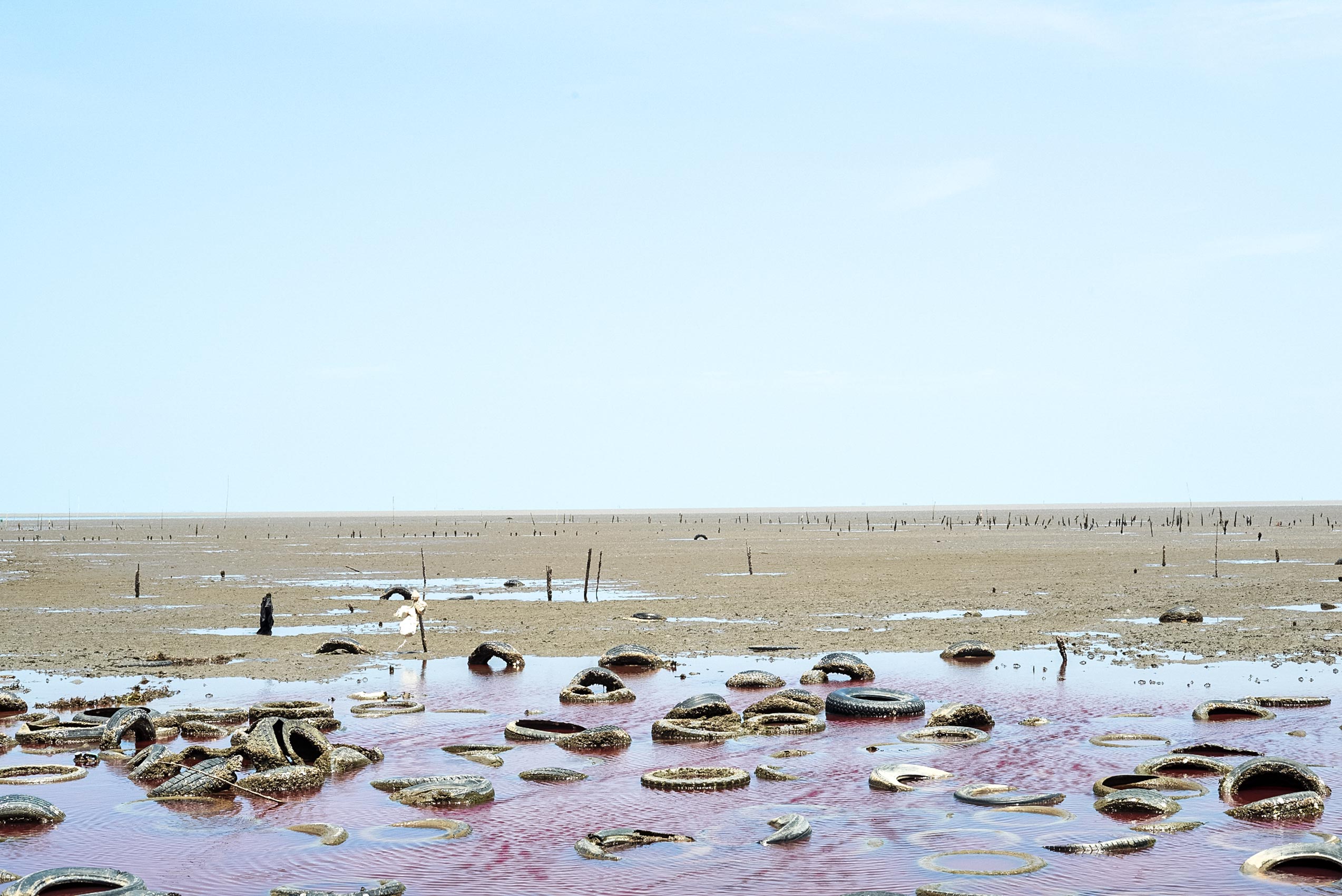 ChrisSisarich_Landscapes098